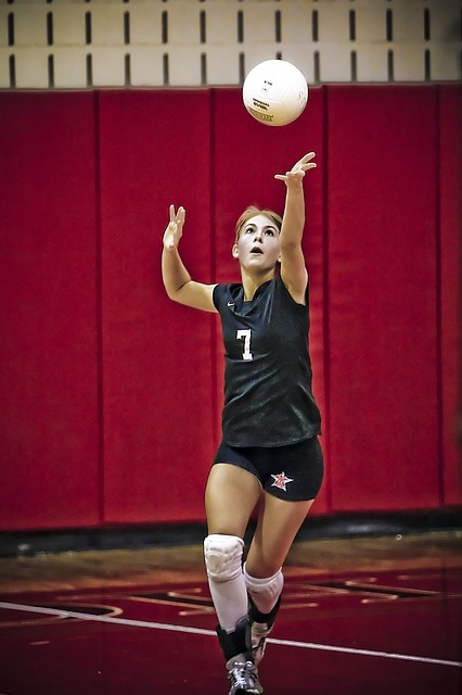 volleyball-1562277_640